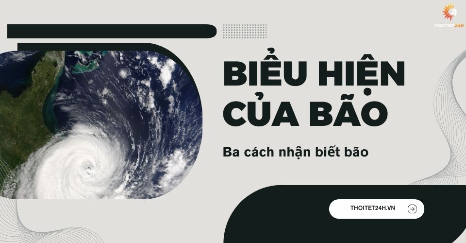 3 cách nhận biết biểu hiện của bão chính xác, không thể bỏ qua